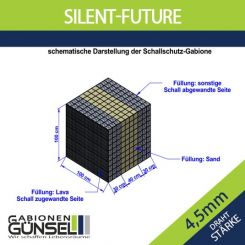 Silent Future  1 x 1 x 1 
