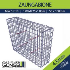 Zaungabione 100 x 25 x 100 