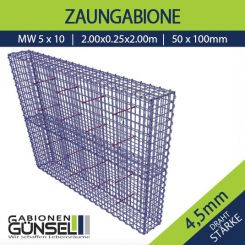Zaungabione 200 x 25 x 200 
