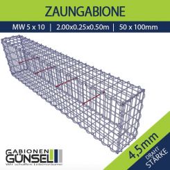 Zaungabione 200 x 25 x 50 Typ A 