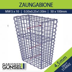 Zaungabione 50 x 0,25 x 150 