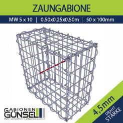 Zaungabione 50 x 25 x 50 