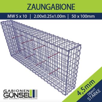 Zaungabione 200 x 25 x 100 SP Typ B Mw 5 x 10 